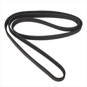Omix-ADA Serpentine Belt - 17111.08