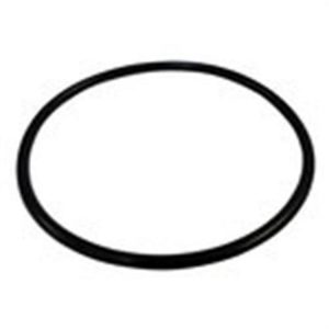 Crown Automotive Fuel Module O-Ring - 55366298AA