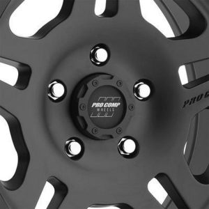 3029 Center Cap
