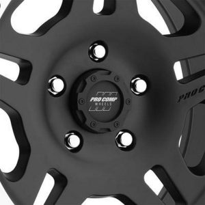 3029 Center Cap