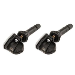 ARB TPMS Internal 2 Sensor System - 819106