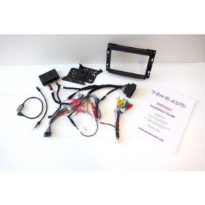 Insane Audio Dodge Radio Dash Kit for DD2001 - DD-DDG-001