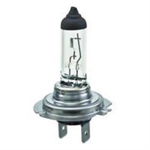 Hella H7 Halogen Bulb - H7100W