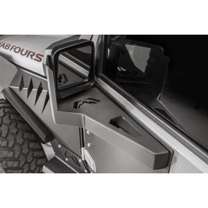 Front Door Skin Mirror Guards